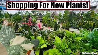 Shopping For Rare Plants at Mega Greenhouse