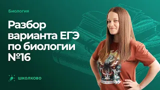 👀Разбор варианта ЕГЭ по биологии №16