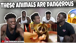 10 CUTE Animals That Can MESS YOU UP!(Reaction)