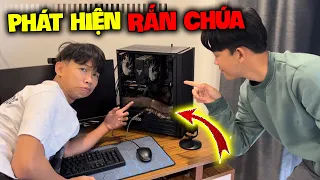 [Vlog] Quý11N Hoãng Hồn Khi Phát Hiện Ổ Rắn Trong Nhà ? Rắn Chúa !!!