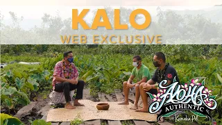 Web Exclusive: Kalo