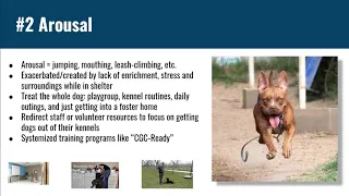 Behavior Dogs Alive! Solving 8 Common Behaviors that Happen in Shelters - conference recording