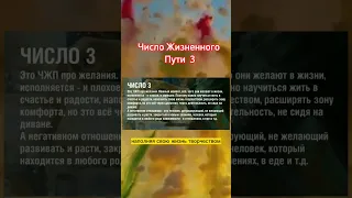 Число жизненного пути 3 #жизненныйпуть #числа #нумерология