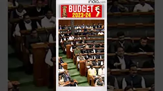 Finance Minister Nirmala Sitharaman on MSME credit guarantee | Budget 2023