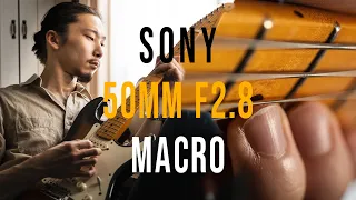 Sony FE 50mm f/2.8 Macro on Sony A7III | The Ability is NOT Macro