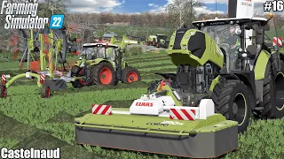 MOWING & WINDROWING ALFALFA, FEEDING ANIMALS W/ CLAAS│CASTELNAUD│FS 22│16