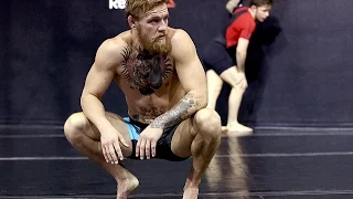 Conor McGregor training 2016