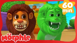 Real Lion, Green Lion 🦁 | My Magic Pet Morphle | Morphle 3D | Full Episodes | Cartoons for Kids