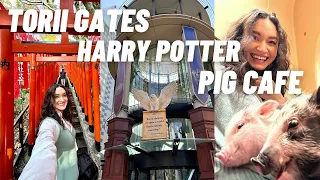 Must See in Tokyo, Japan! Micro Pig Cafe, Hidden Torii Gates, and Akasaka!