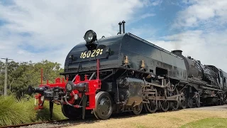 Beyer-Garratt 6029 at Thirlmere Festival of Steam 2015