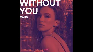 WziA - Without You (Original Mix)