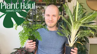 Plant Haul | January 2024