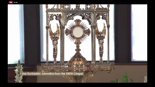 LIVE Eucharistic Adoration on EWTN