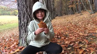 Золотая осень в горах Архыза/autumn in the mountains