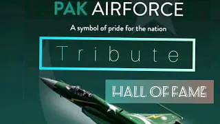 Tribute to Pakistan Air force|Hall of fame| Mujahid