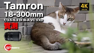 【攝影跌貨王】 E mount 更高倍數天涯鏡 Tamron 18-300 f/3.5-6.3 Di III-a VC VXD  實測