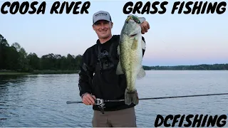 My favorite way to fish COOSA RIVER GRASS!