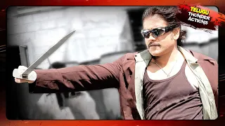 Nagarjuna Most Popular Power Pack Action Scenes || التيلجو أفضل مشاهد العمل