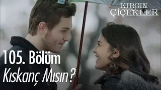 Kıskanç mısın? - Kırgın Çiçekler 105. Bölüm