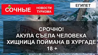 СРОЧНО ЕГИПЕТ! Акула съела человека в Хургаде 8 июня 2023 |  ХИЩНИКА ПОЙМАЛИ. Версии и подробности