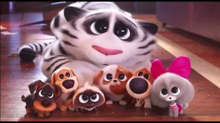 Puppy School Scene (HD) • Secret Life Of Pets 2