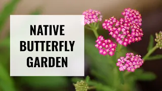 California Native Plants - Building a Small Space Butterfly Garden