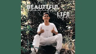 Beautiful Life