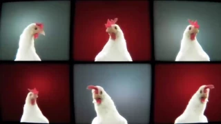 Chicken Song -Geco Remix 10 часов HD