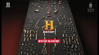 The Mystery of Human Evolution - The Cradle Of Humankind