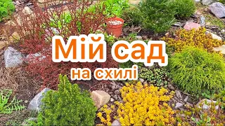 МІЙ САД НА СХИЛІ. 🌿🇺🇦 Назви рослин.