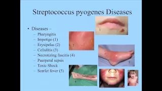 Bacteriology Part 1