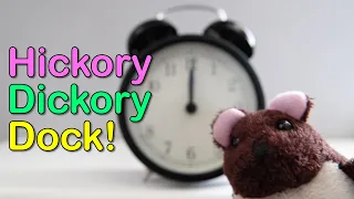 Hickory Dickory Dock Song with Toy Animals [Nursery Rhyme for Toddlers]
