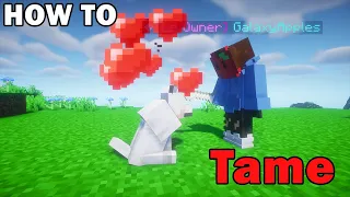 How To TAME A Wolf (Tutorial)