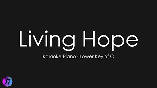 Phil Wickham - Living Hope | Piano Karaoke [Lower Key of C]