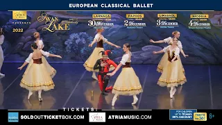 Swan Lake - a masterpiece of classical ballet, music by P. Tchaikovsky. Cyprus