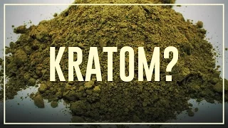 Kratom (Mitragyna) - Do’s and don’ts | Drugslab