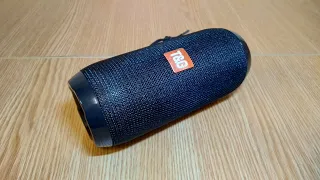 The TG117 Bluetooth Speaker is a good thing for a country holiday! Review and test.