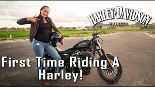 FIRST TIME RIDING STREET MOTORCYCLE | Harley Davidson Iron 883