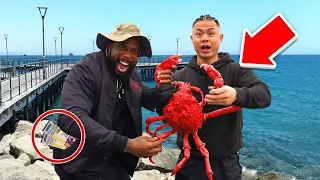 Catch & Cook Biggest Spider Crab, Win LAKERS Tickets!
