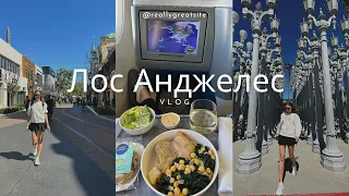 VLOG // Один день из жизни в США! Прогулка по Лос Анджелесу, Аэропорт и перелет Бизнес классом