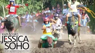 Kapuso Mo, Jessica Soho: Kakaibang karera ng kalabaw sa South Cotabato, kinaaaliwan!