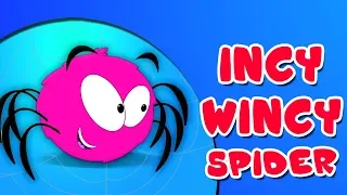 Incy Wincy Паук | паука рифма | мультфильмы для дете | Itsy Bitsy Spider | Zebra Russia