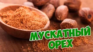 Пряности и приправы 🌟 МУСКАТНЫЙ ОРЕХ 🌟 Обзор от HItsadTV