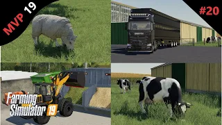 Loaded With Livestock- Farming Simulator 19 Gameplay - Timelapse - MVP 19 FS19 - Ep 20