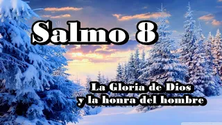 SALMO 8