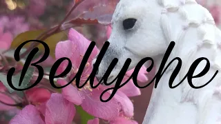 Клип под песню Bellyche. Schleich шляйх.