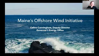 State of Maine Floating Offshore Wind Research Array - Wildlife Work Session #1