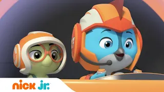 ОТВАЖНЫЕ ПТЕНЦЫ | Кадет на день | Nick Jr. Россия