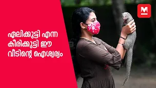 ഏലിക്കുട്ടി എന്ന കീരിക്കുട്ടി ഈ വീടിന്റെ ഐശ്വര്യം