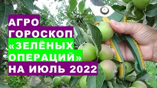 Агрогороскоп "зелёных операций" на растениях сада и огорода в июле 2022 года